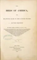 Academic document sample