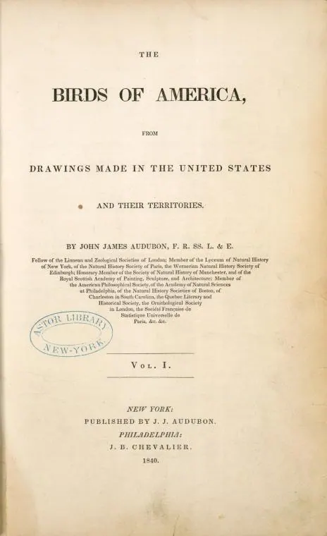 Academic Documents - Original Scan