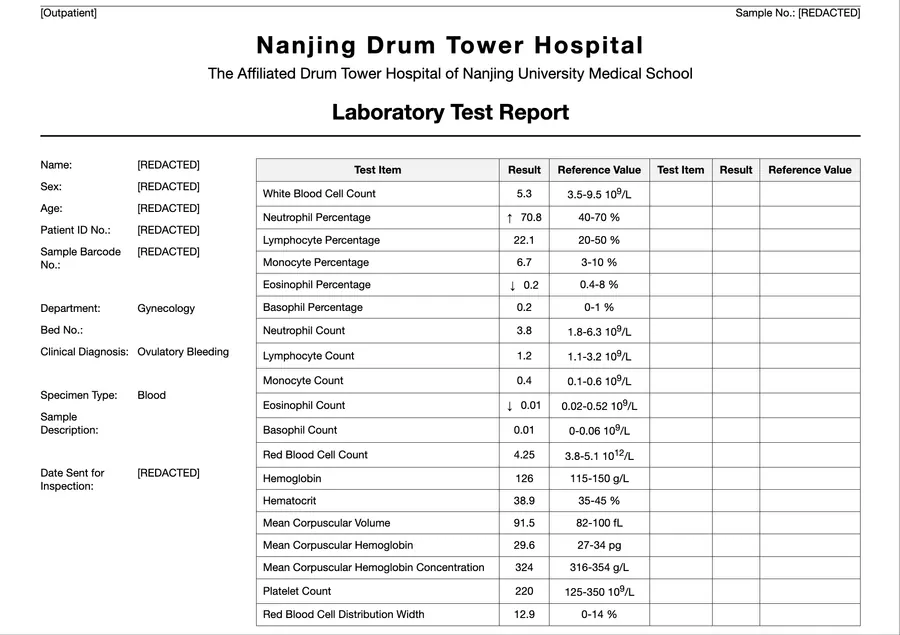 Medical Documents - Processed Document